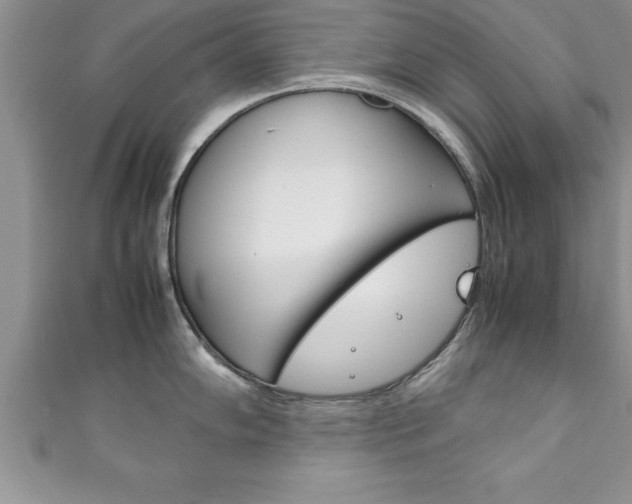 X0000111191102200907011004