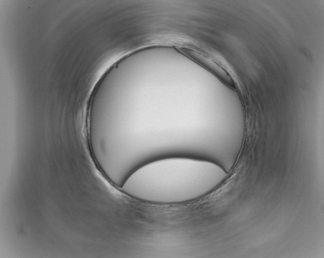 X0000111191103200907011004