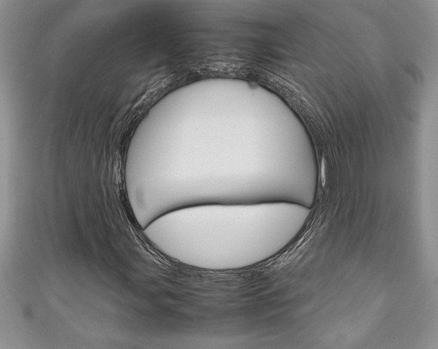 X0000111191107200907011003