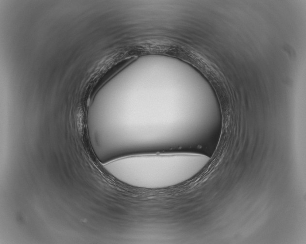 X0000111191108200907011003