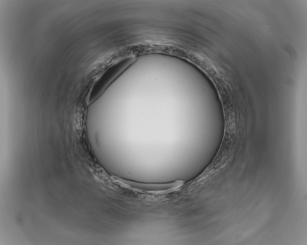 X0000111191110200907011003