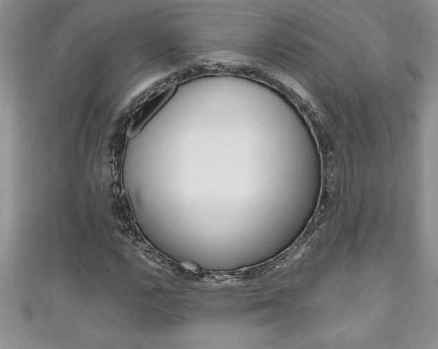 X0000111191112200907011003