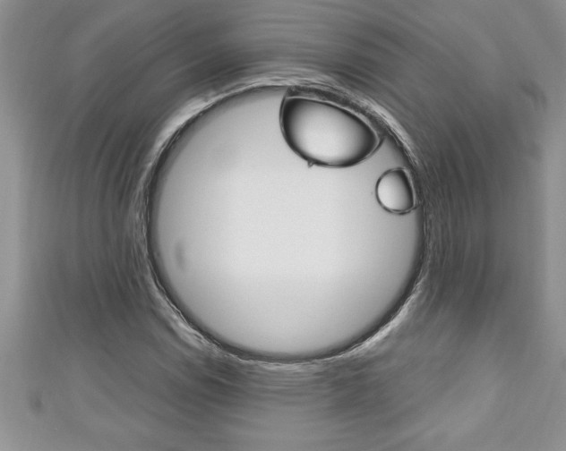 X0000111191114200907011003