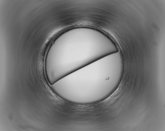 X0000111191115200907011003
