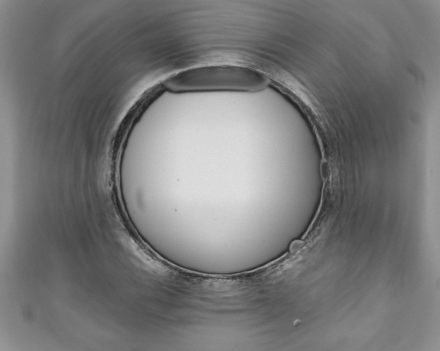 X0000111191116200907011003