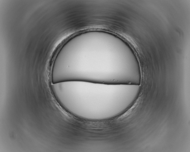 X0000111191119200907011003