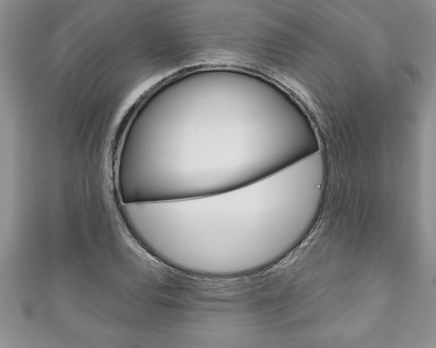 X0000111191120200907011003