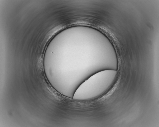 X0000111191121200907011003