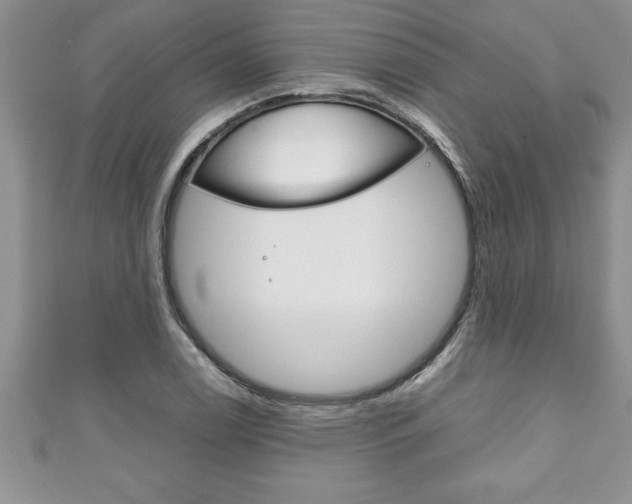 X0000111191122200907011003