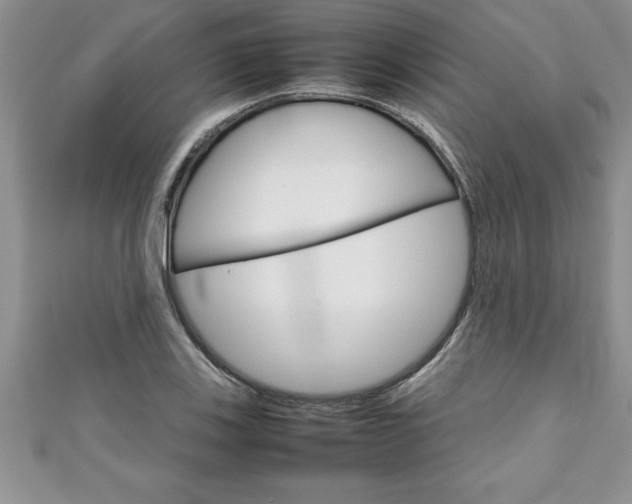 X0000111191123200907011003