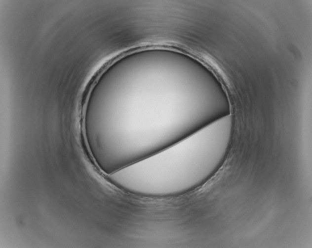 X0000111191124200907011003