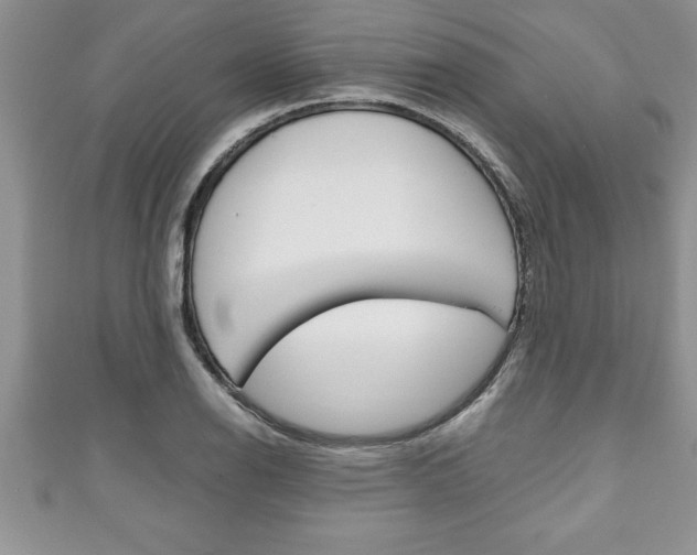 X0000111191126200907011003