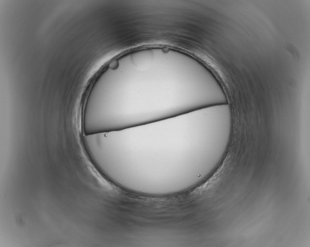 X0000111191127200907011003