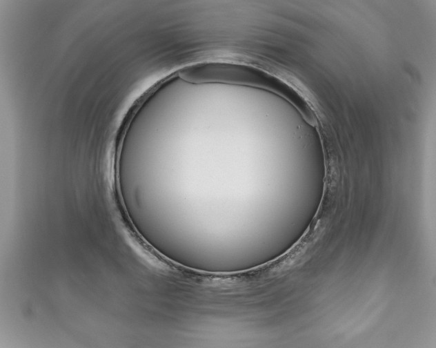 X0000111191128200907011003