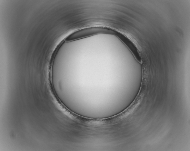 X0000111191134200907011003