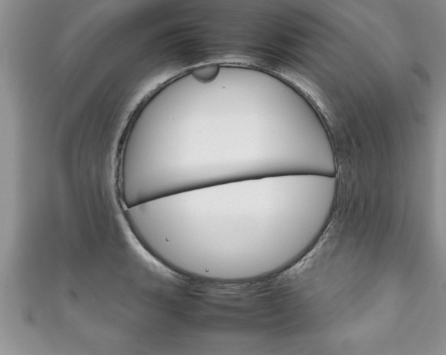 X0000111191135200907011003