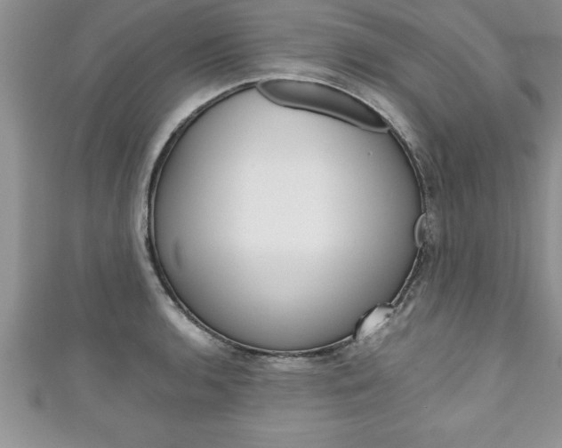 X0000111191136200907011004