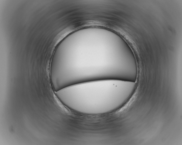 X0000111191137200907011004