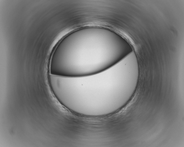 X0000111191138200907011004