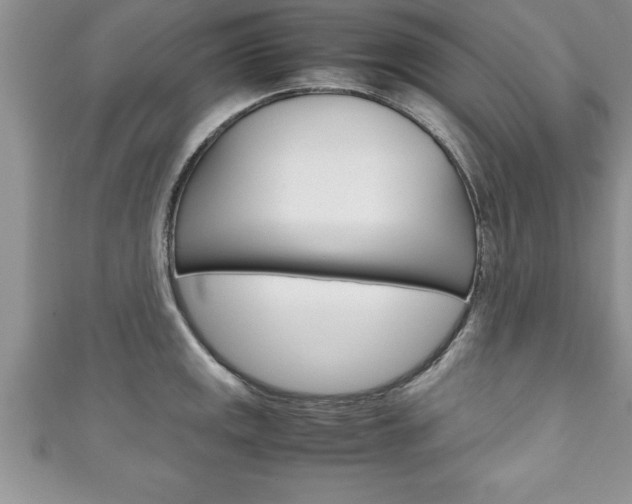 X0000111191141200907011004