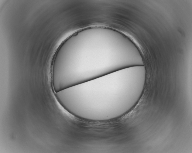 X0000111191143200907011004