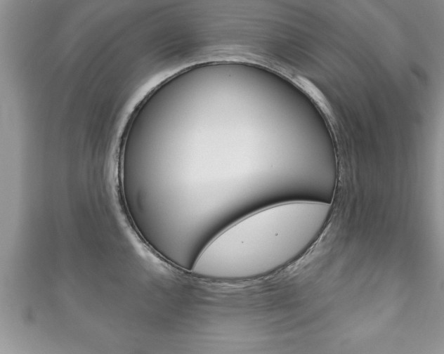X0000111191144200907011004