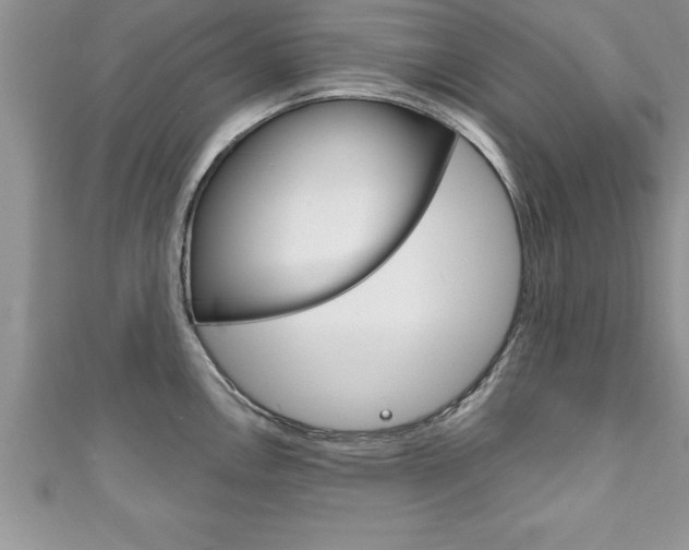 X0000111191146200907011004