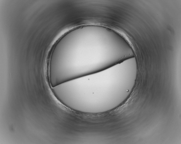 X0000111191147200907011004