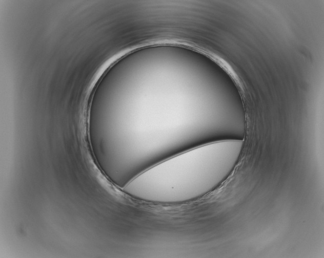 X0000111191148200907011004