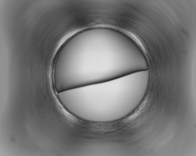 X0000111191149200907011004