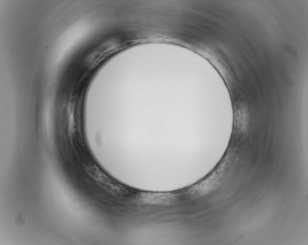 X0000111191150200907011004