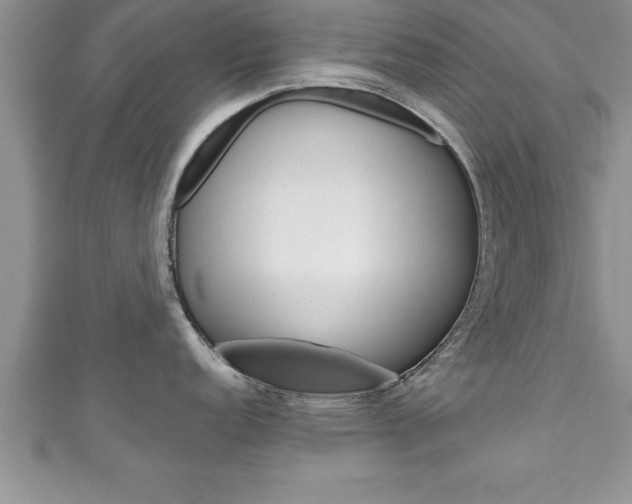 X0000111191152200907011004