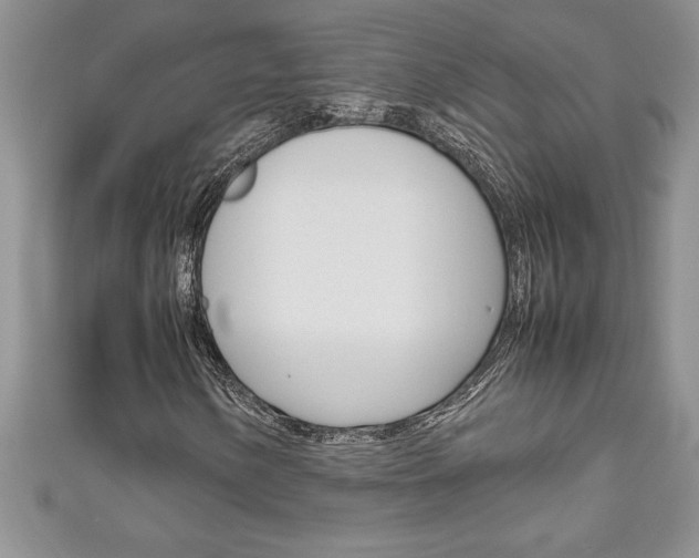 X0000111191154200907011003