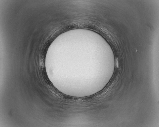 X0000111191155200907011003