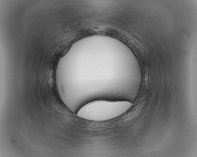 X0000111191156200907011003
