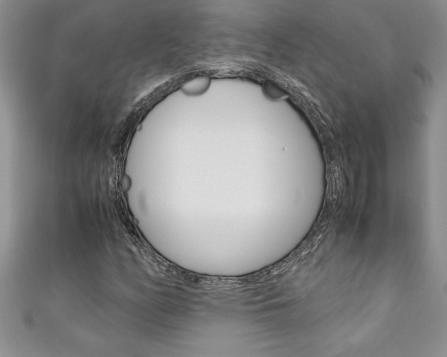 X0000111191158200907011003