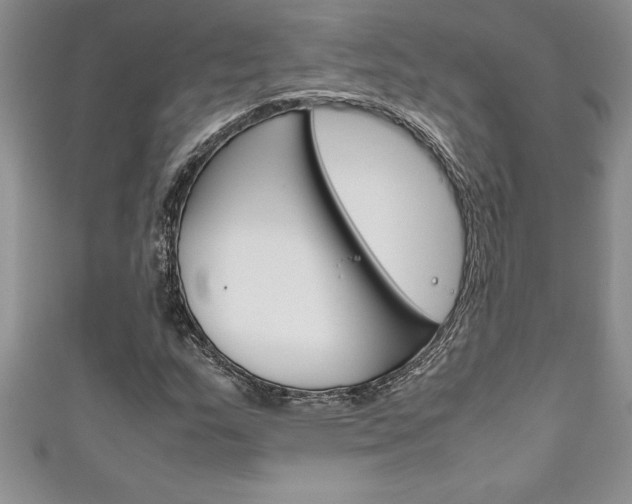 X0000111191159200907011003