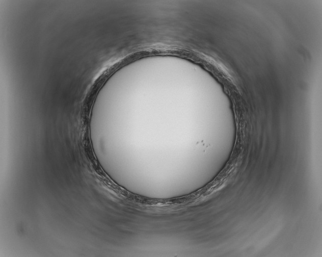 X0000111191160200907011003