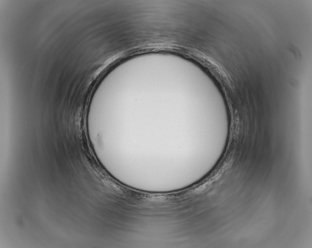 X0000111191162200907011003