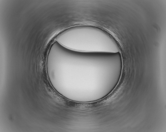 X0000111191163200907011003