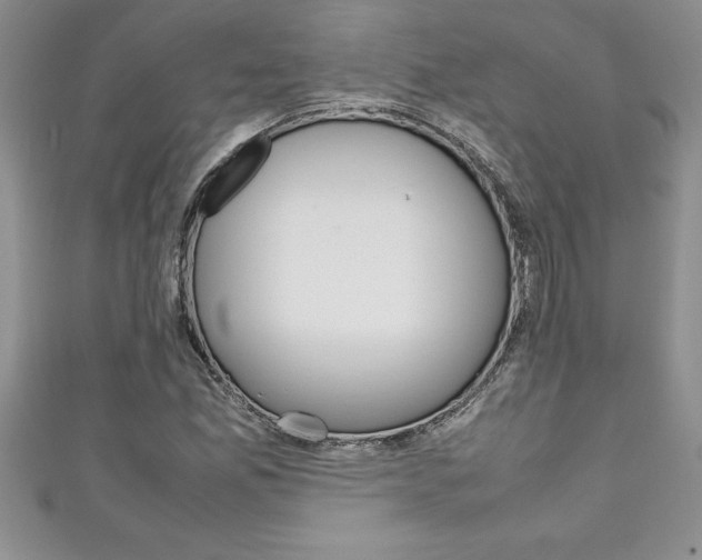 X0000111191165200907011003