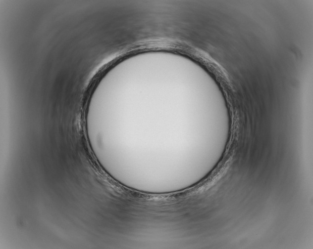 X0000111191166200907011003