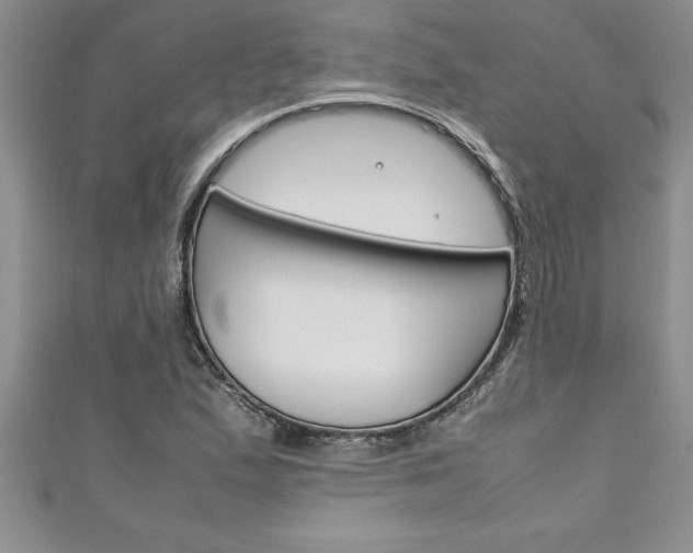 X0000111191167200907011003