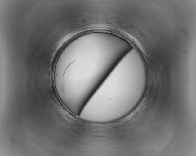 X0000111191168200907011003