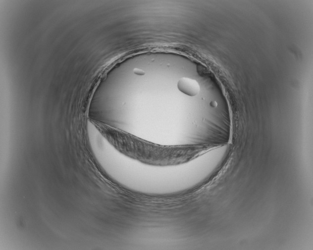 X0000111191169200907011003