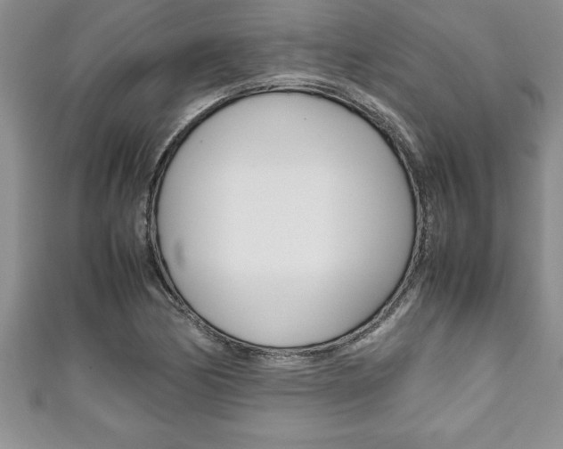 X0000111191170200907011003