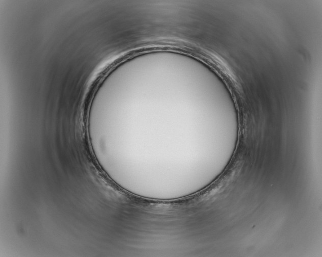 X0000111191172200907011003