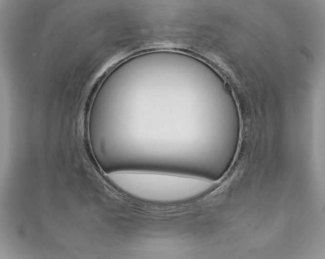 X0000111191173200907011003