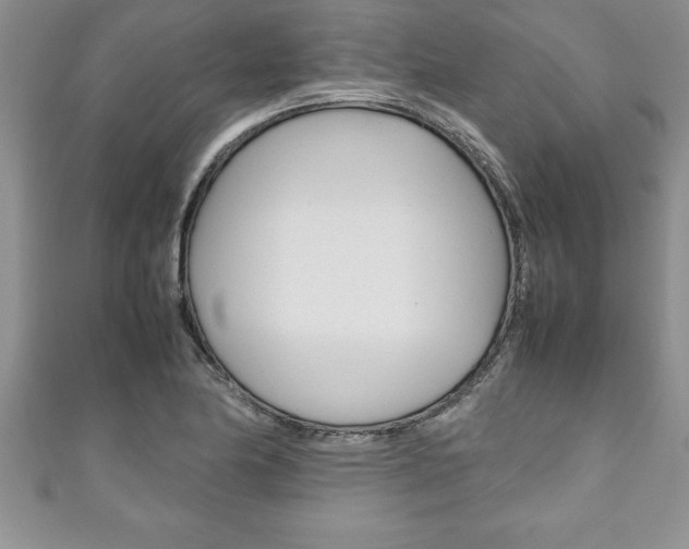 X0000111191174200907011003