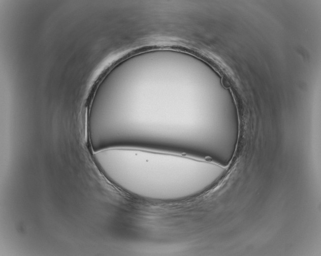 X0000111191175200907011003